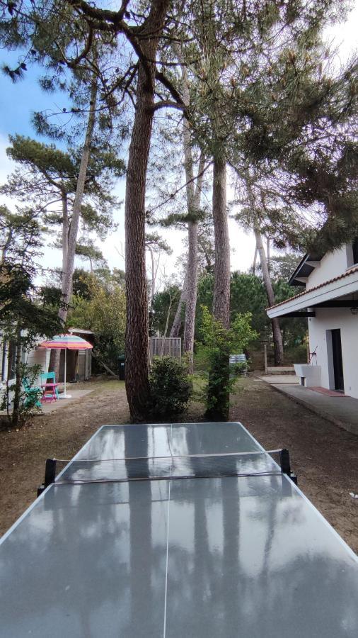 Atelier 4****